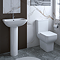 Potenza Basin 550mm 1TH with Full Pedestal