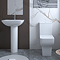 Potenza Basin 550mm 1TH with Full Pedestal