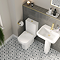 Potenza Short Projection Rimless Toilet with Soft Close Seat