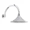 Premier - 240mm Conical Shower Head with Curved Arm Large Image