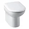 Premier D-Shape Back To Wall Pan (excluding Seat) Large Image