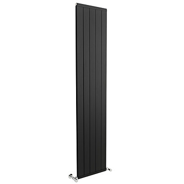 Premier - Palisade Designer Radiator 1800 x 370mm - Black - MTY115 Profile Large Image