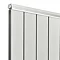 Premier - Palisade Designer Radiator 1800 x 370mm - Anodised - MTY117 Profile Large Image