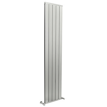 Premier - Palisade Designer Radiator 1800 x 370mm - Anodised - MTY117 Profile Large Image