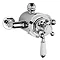 Premier Victorian Exposed Valve w Rigid Riser Kit, Diverter, 12" Shower Rose & Handset Feature Large