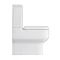 Pro 600 Modern Fully Back To wall BTW Toilet with Soft Close Seat Profile Large Image