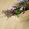 Quick-Step Bloom Plank LVT Click Vinyl - Botanic Beige