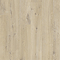 Quick-Step Bloom Plank LVT Click Vinyl - Cotton Oak Beige