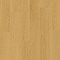 Quick-Step Bloom Plank LVT Click Vinyl - Pure Oak Honey