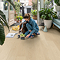 Quick-Step Blos Plank LVT Click Vinyl - Buttermilk Oak