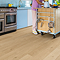 Quick-Step Blos Plank LVT Click Vinyl - Coast Oak Beige