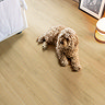 Quick-Step Capture Plank Laminate - Brushed Oak Natural