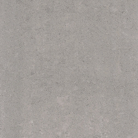 RAK - 4 Lounge Light Grey Porcelain Polished Tiles - 600x600mm - 6GPD-59 Large Image