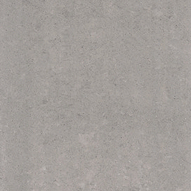 RAK - 4 Lounge Light Grey Porcelain Unpolished Tiles - 600x600mm - 6GPD-59UP Large Image