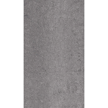 RAK - 6 Lounge Dark Grey Porcelain Polished Tiles - 300x600mm - 9GPD-56 Profile Large Image