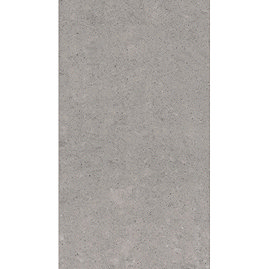 RAK - 6 Lounge Light Grey Porcelain Polished Tiles - 300x600mm - 9GPD-59 Large Image