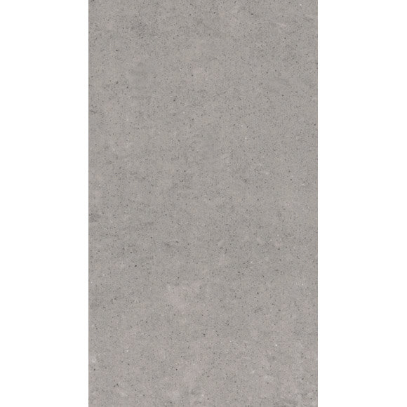 RAK - 6 Lounge Light Grey Porcelain Polished Tiles - 300x600mm - 9GPD-59 Large Image