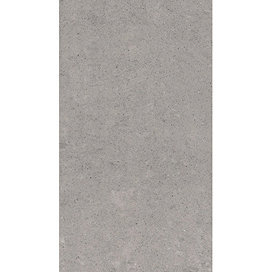 RAK - 6 Lounge Light Grey Porcelain Unpolished Tiles - 300x600mm - 9GPD-59UP Large Image