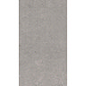 RAK - 6 Lounge Light Grey Porcelain Unpolished Tiles - 300x600mm - 9GPD-59UP Large Image
