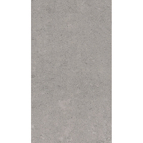 RAK - 6 Lounge Light Grey Porcelain Unpolished Tiles - 300x600mm - 9GPD-59UP Large Image