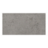 RAK Chiltern Grey Wall Tiles 300 x 600mm