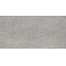 RAK City Stone Grey Wall and Floor Tiles 300 x 600mm  Profile Large Image