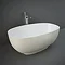 RAK Cloud 1400 x 753mm Freestanding Bath - Matt Greige Large Image