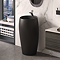 Cloud Freestanding Basin 1TH Matt Black