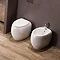 RAK Cloud Back To Wall 1TH Bidet - Gloss White Profile Large Image