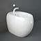 RAK Cloud Back To Wall 1TH Bidet - Gloss White Large Image