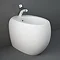 RAK Cloud Back To Wall 1TH Bidet - Matt White Large Image