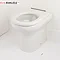 RAK Compact Special Needs BTW Rimless Toilet with Ring Seat Large Image