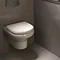 RAK NEW Compact Wall Hung WC with Soft Close Urea Seat Large Image