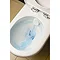 RAK Compact Special Needs BTW Rimless Toilet with Ring Seat Profile Large Image