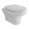 RAK Compact Wall Hung Pan + Quick Release Soft Close Urea Seat Large Image