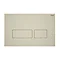 RAK Ecofix Matt Greige Dual Flush Plate with Rectangular Buttons Large Image