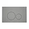 RAK Ecofix Matt Grey Dual Flush Plate with Round Buttons Large Image