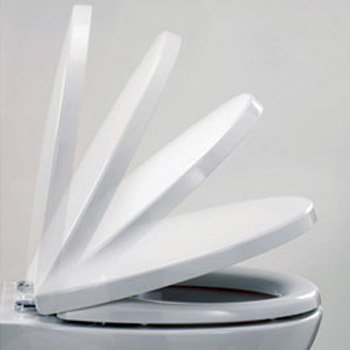 RAK Empire Soft Close Wrap Over Urea Toilet Seat Profile Large Image