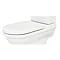 RAK Empire Soft Close Wrap Over Urea Toilet Seat Large Image