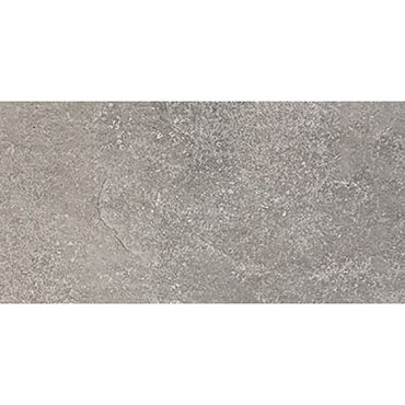 RAK Fashion Stone Light Grey Wall and Floor Tiles 300 x 600mm  Profile Large Image
