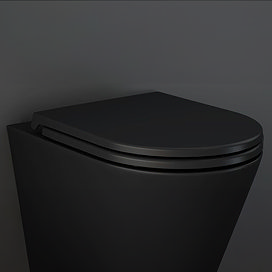 RAK Feeling Soft Close Seat in Matt Black