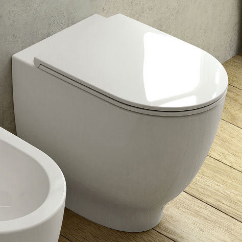 RAK Harmony Back to Wall Pan + Soft Close Urea Seat Profile Large Image