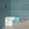 RAK Junior Back to Wall Pan + Urea Seat Profile Large Image
