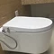 RAK Manual Non-Electric Bidet Function Soft Close Toilet Seat  Feature Large Image