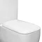 RAK Metropolitan Soft Close Toilet Seat Large Image