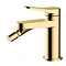 RAK Petit Round Bidet Mixer Tap Brushed Gold - RAKPER3006G Large Image