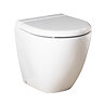 RAK Reserva Back to Wall Toilet + Soft Close Urea Seat  Profile Large Image
