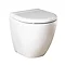 RAK Reserva Back to Wall Toilet + Soft Close Urea Seat  Profile Large Image