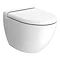 RAK Reserva Wall Hung Pan + Soft Close Urea Seat Large Image