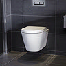 RAK Resort Wall Hung Rimless Pan + Quick Release Soft Close Urea Seat  Standard Large Image